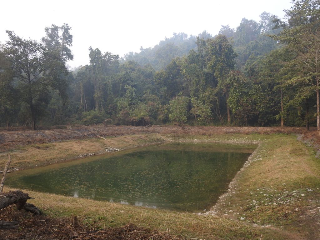 Condition of same pond Kamini daha after management and protection program