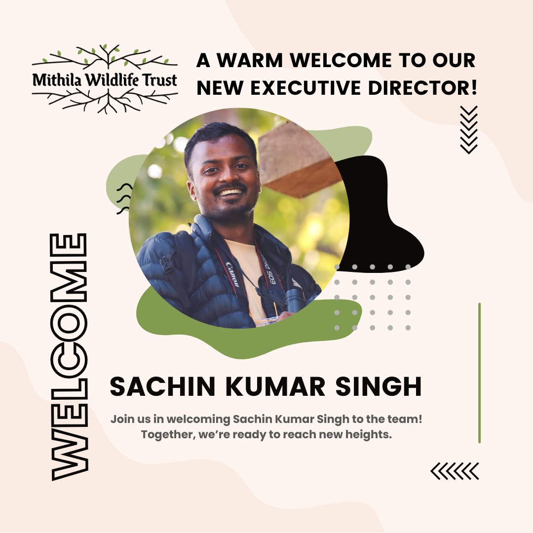 Sachin's Introduction