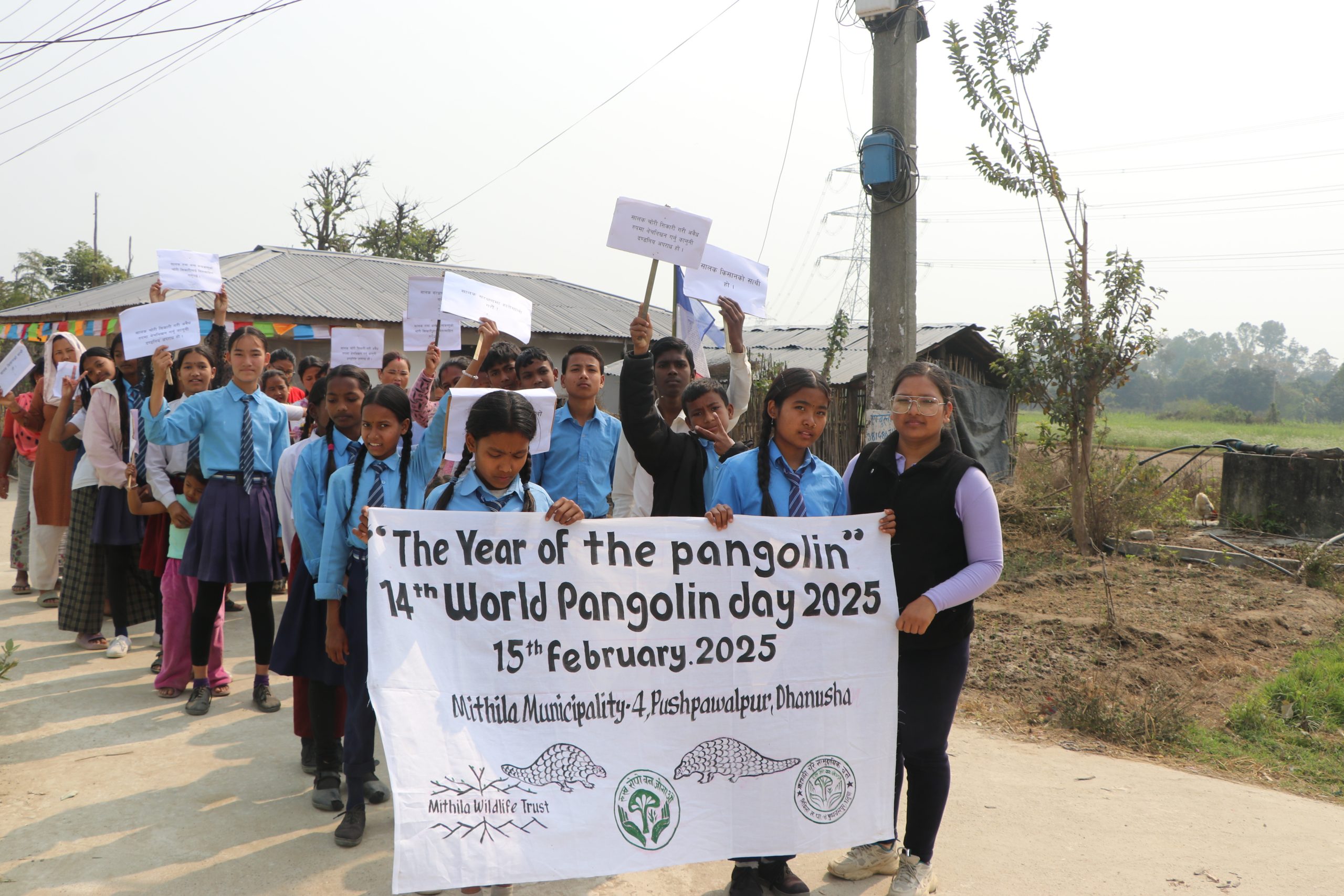 Celebrating World Pangolin Day, 2025