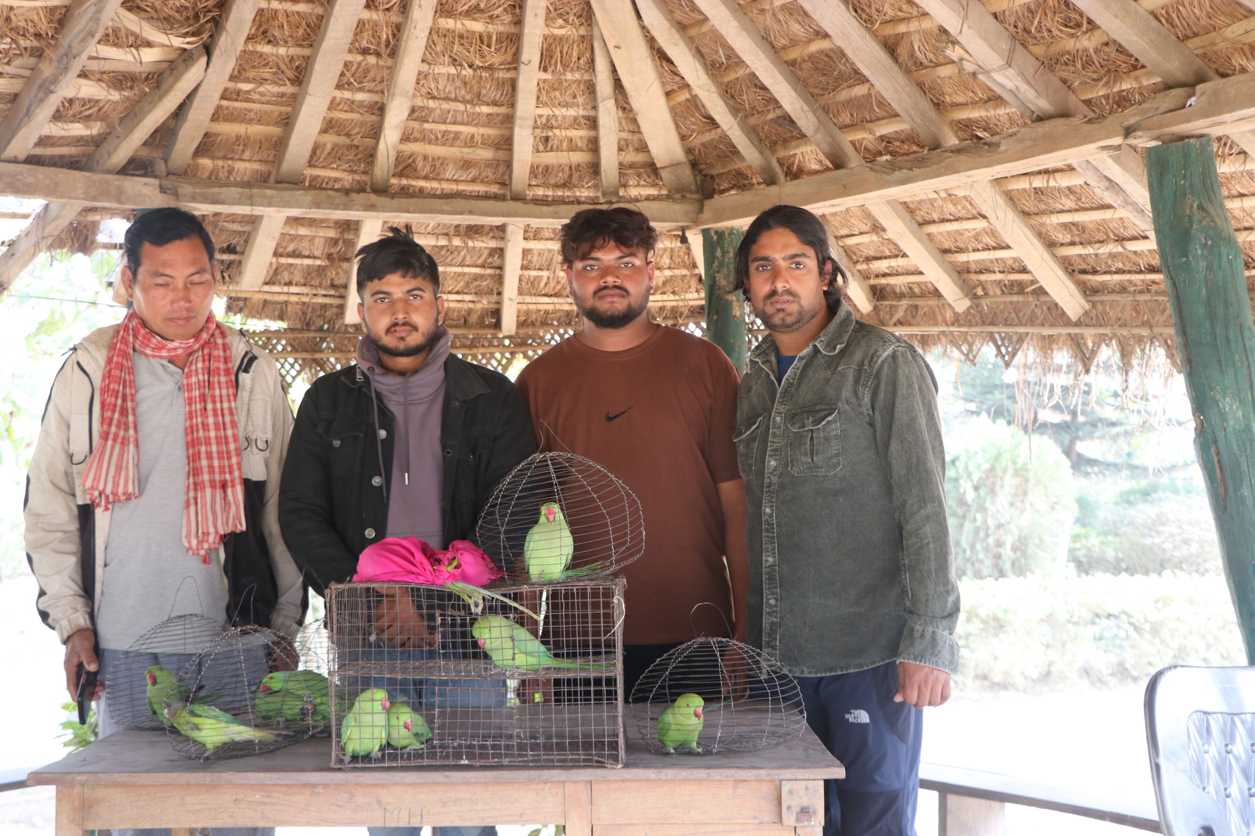 Parrot Rescue from Illegal Trade During Festival