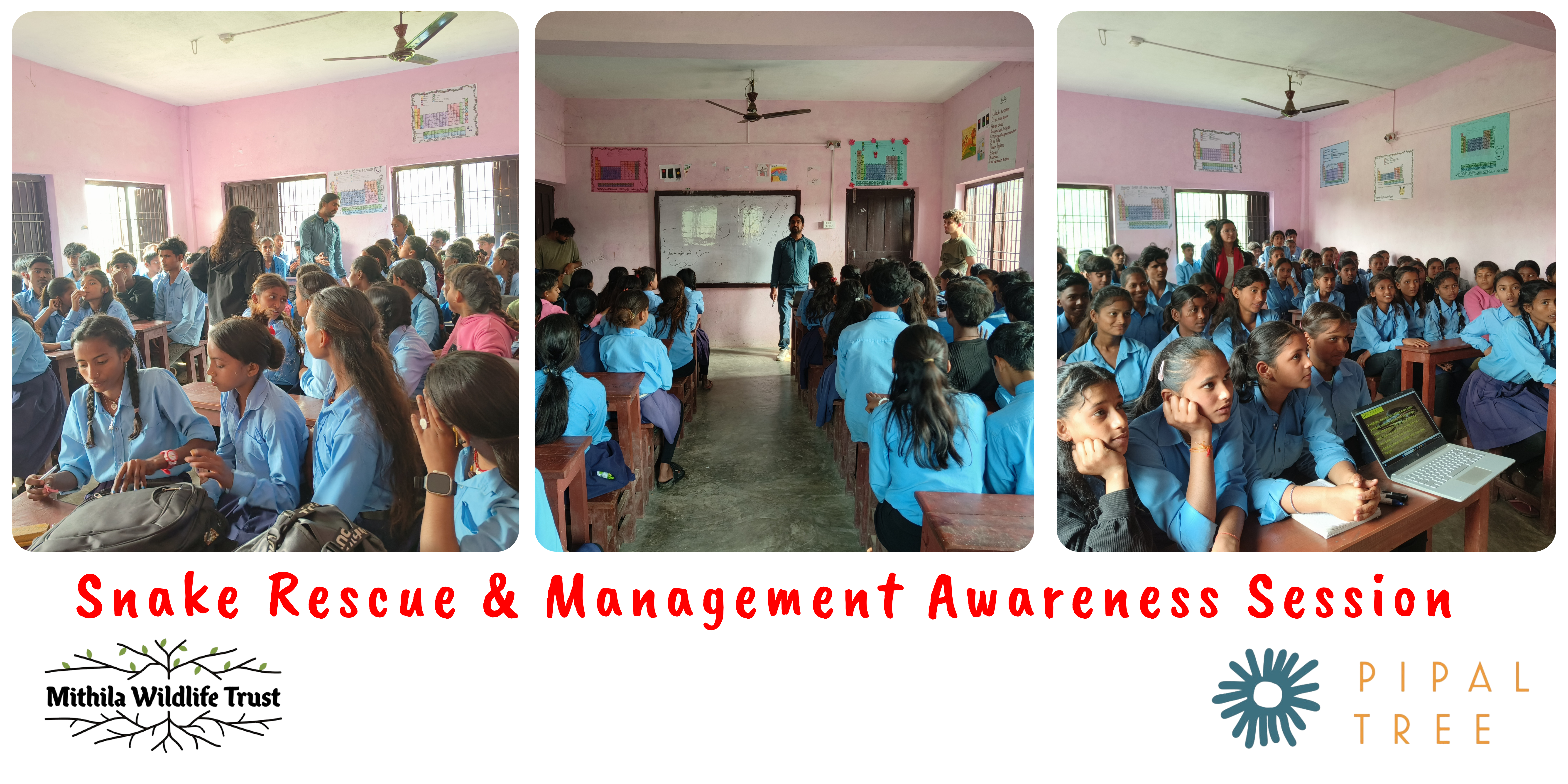 Educating Future Conservationists: Snake Rescue & Management Awareness Session
