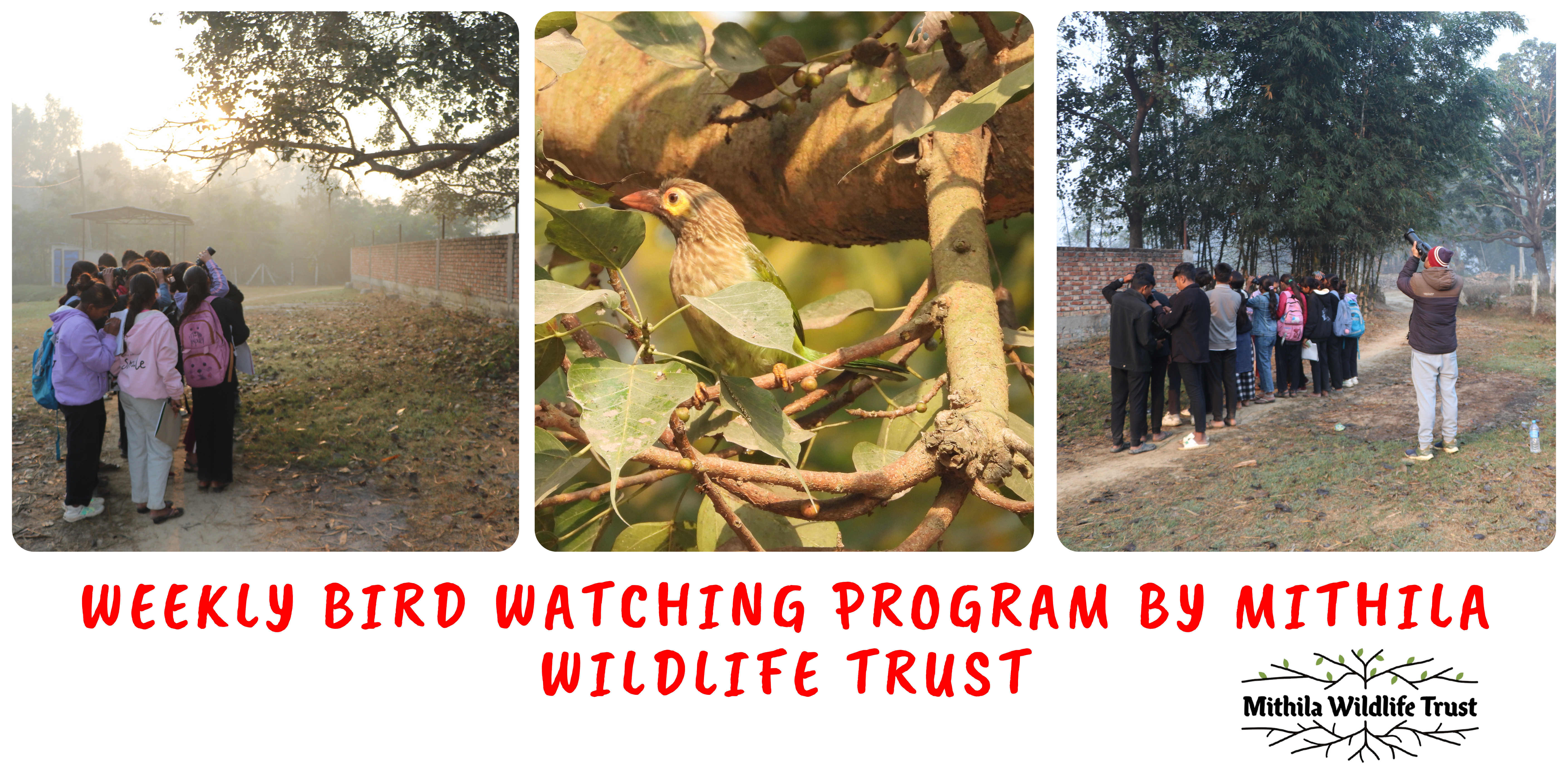 WEEKLY BIRD WATCHING PROGRAM BY MITHILA WILDLIFE TRUST