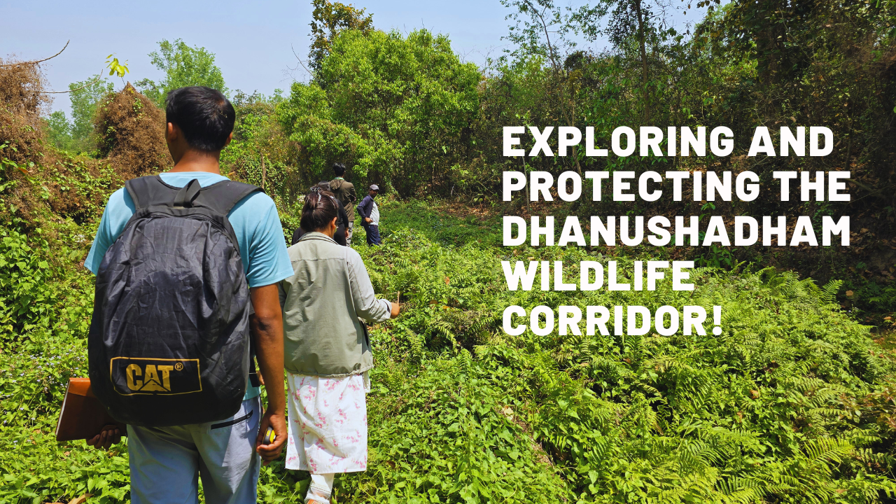 Activities under the Dhanushadham Wildlife Corridor!