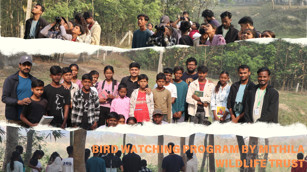 BIRD WATCHING PROGRAM BY MITHILA WILDLIFE TRUST