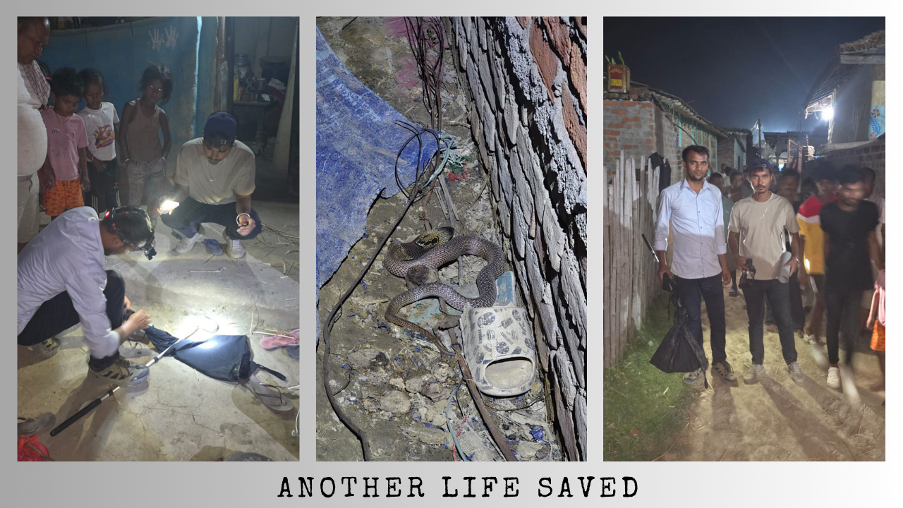 Another Life Saved