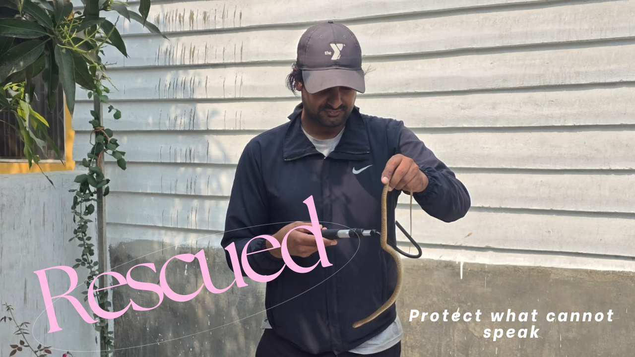 Protect what cannot speak