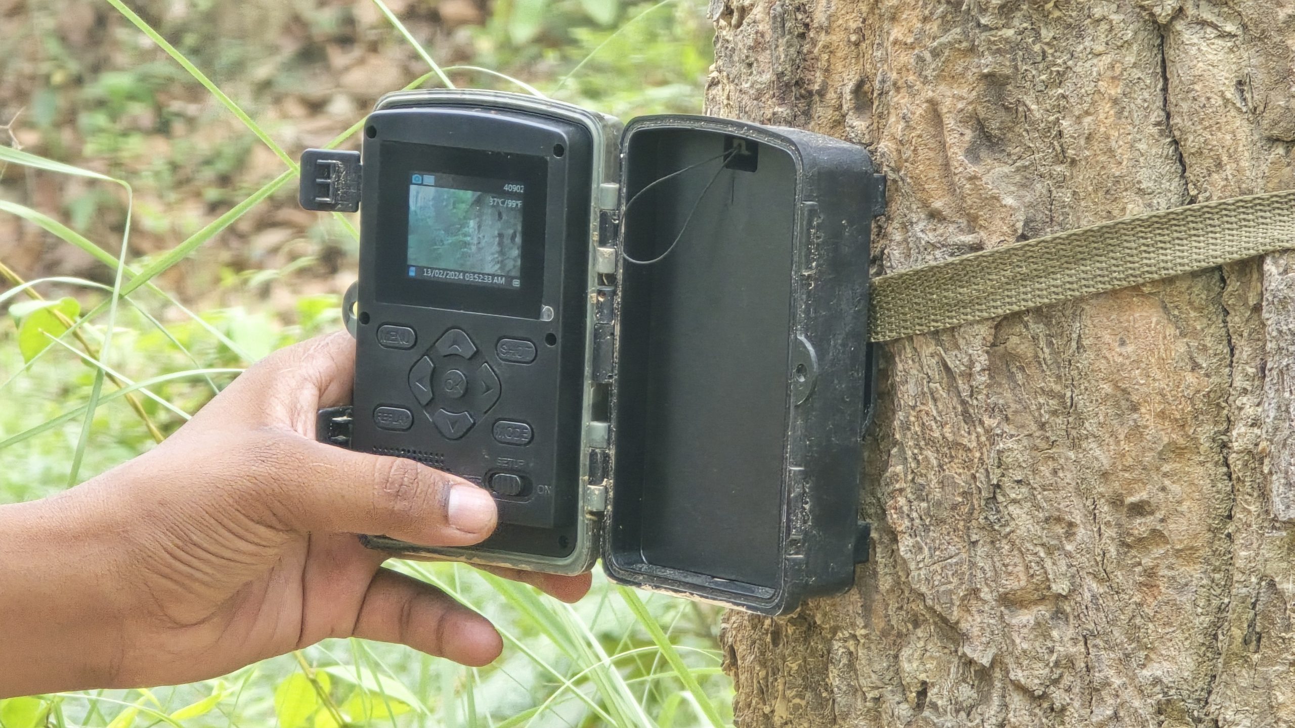 Monitoring for Conservation: Camera Trap Initiative in “The Dhanushadham Wildlife Corridor”