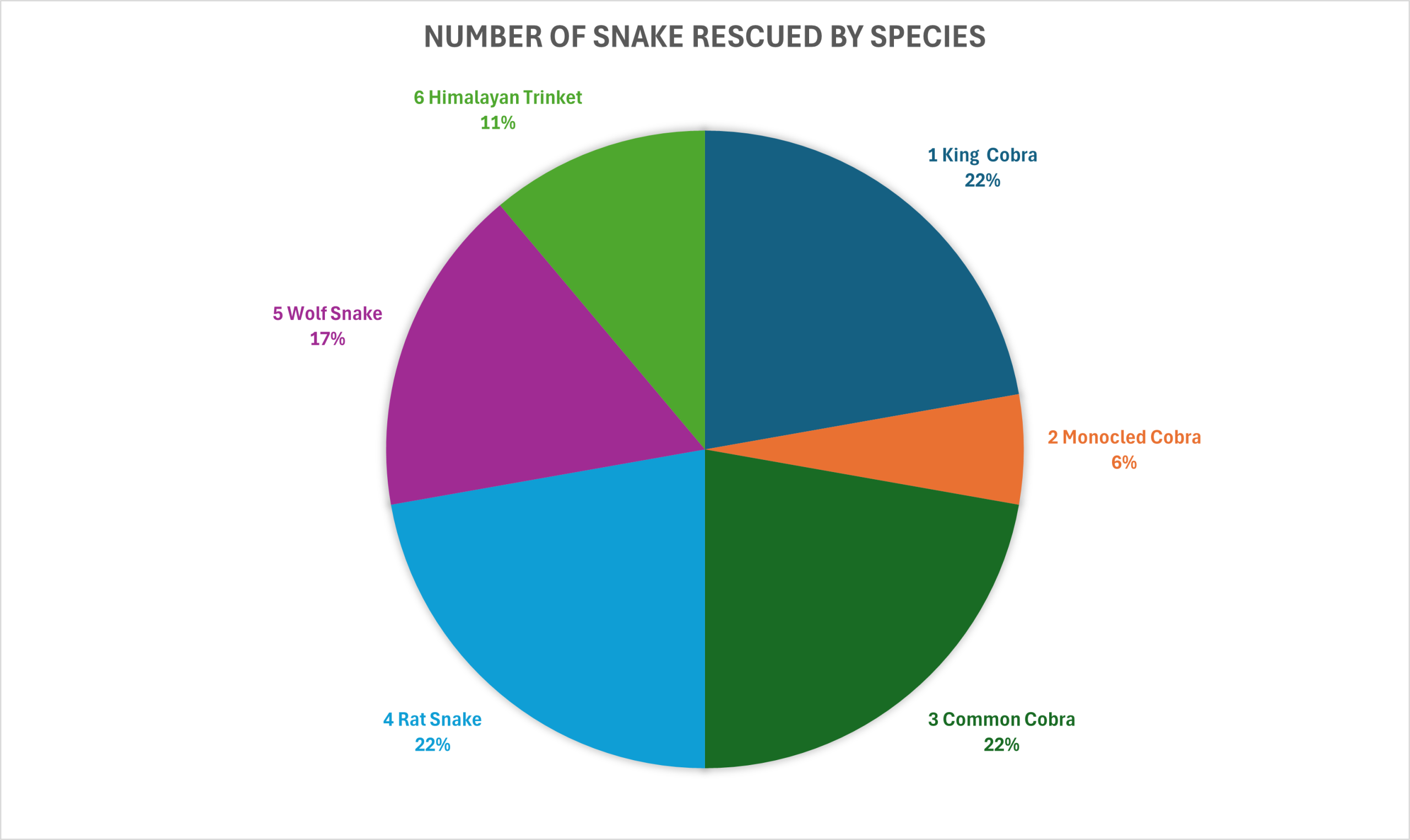Snake Rescue Update | May 5–19, 2025