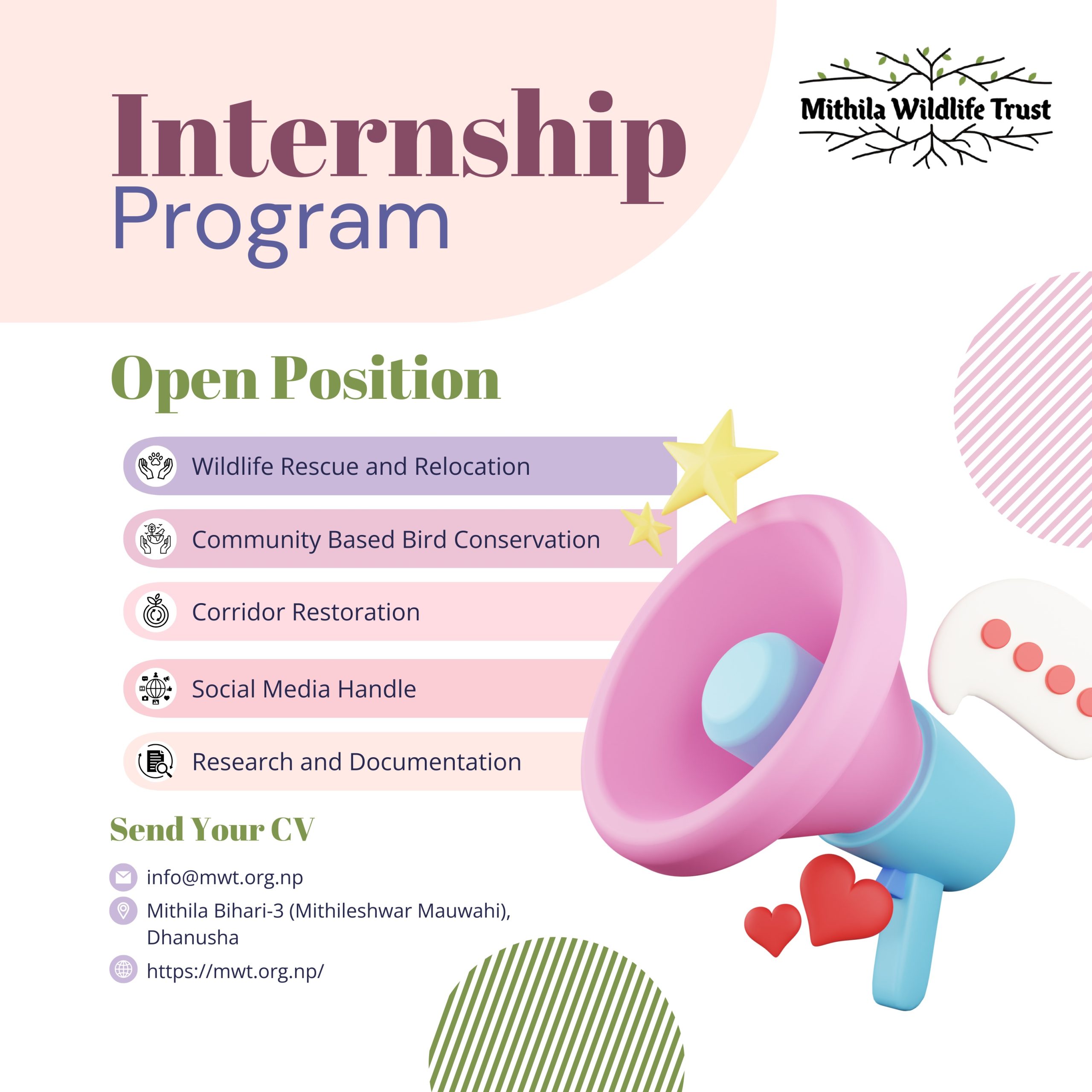 3-Month Paid Internship in Wildlife Conservation – Apply Now!