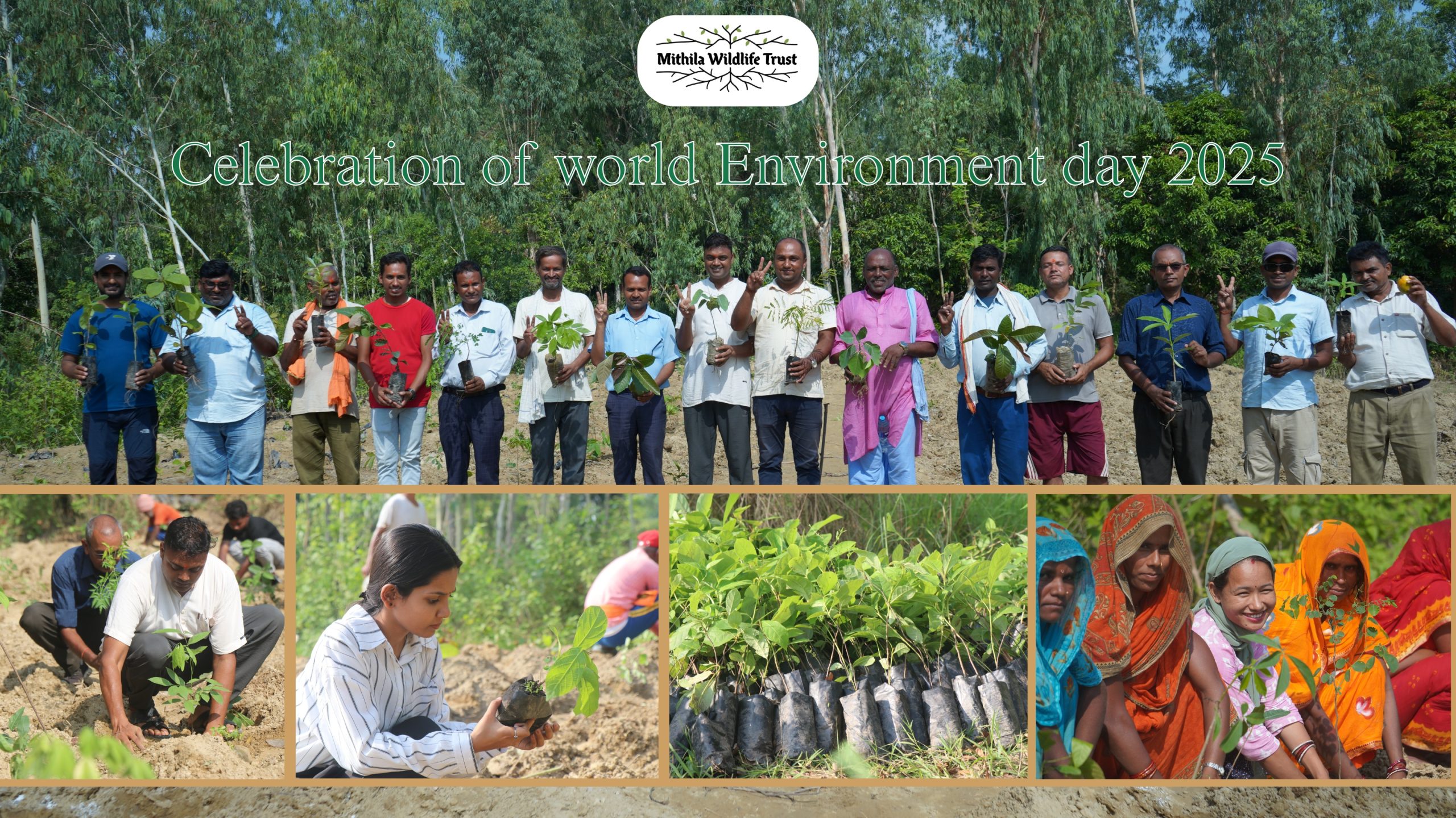 World Environment Day 2025 — A Step Towards a Greener Future! 🌱🌳