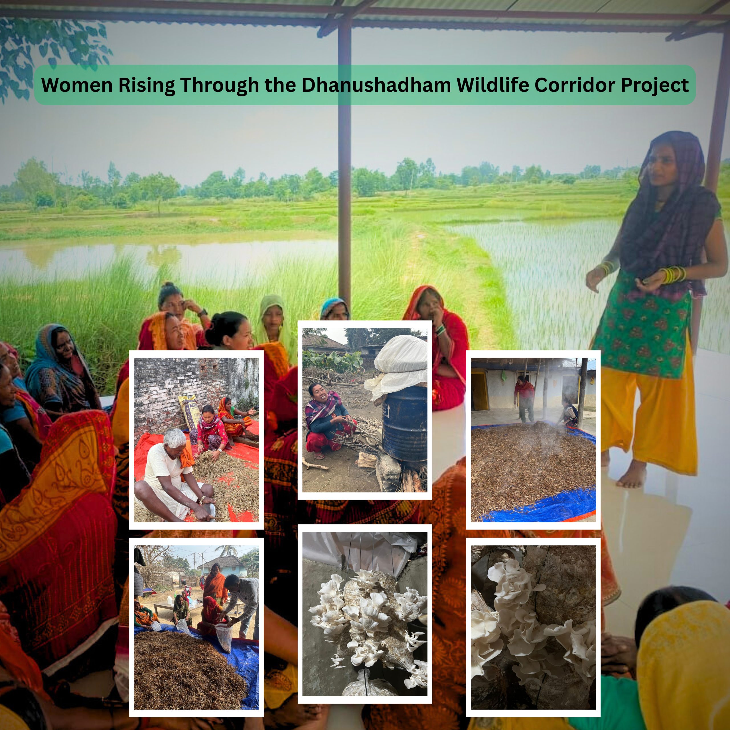 Stronger Women, Better Communities