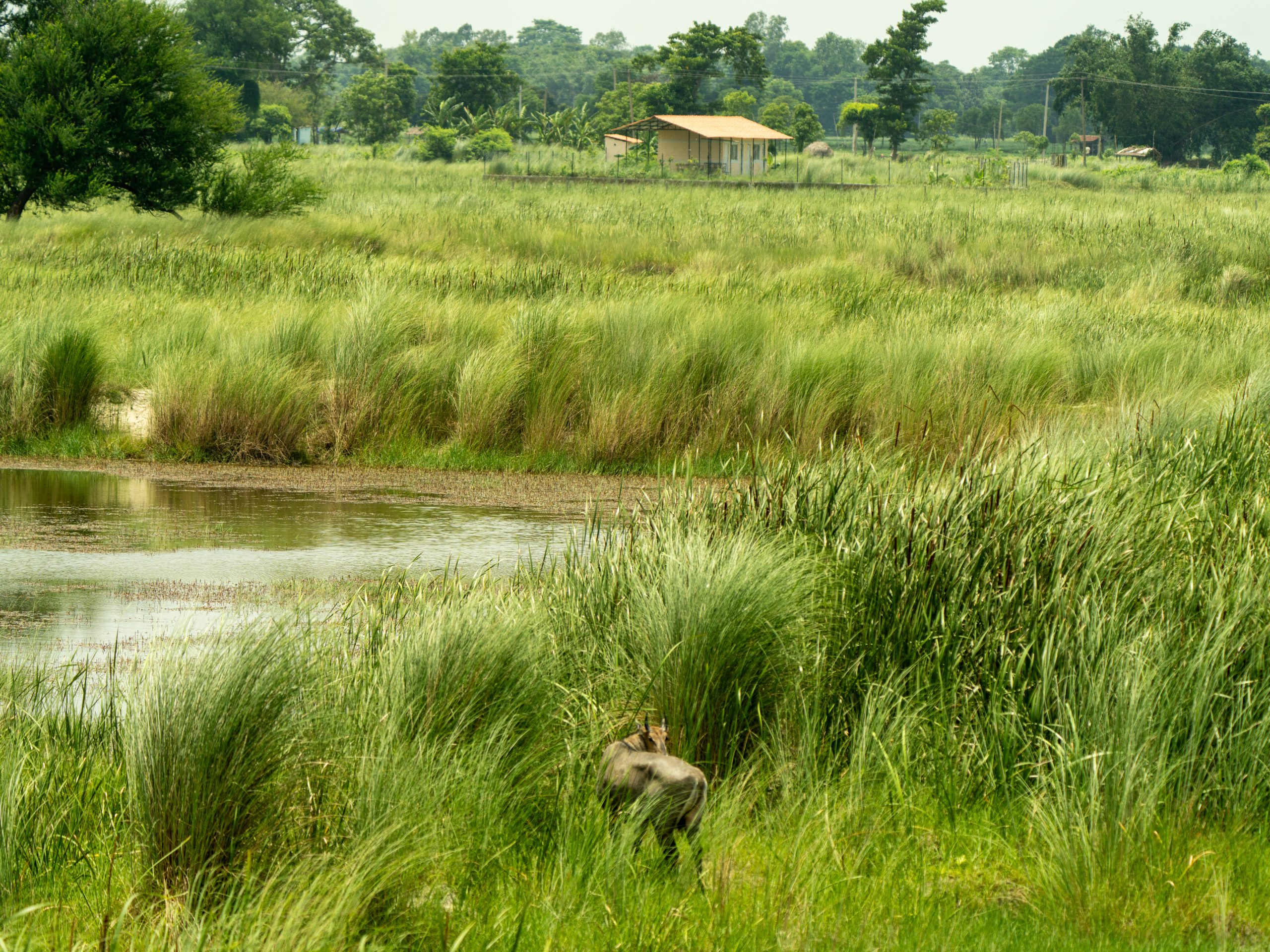 Kamala River-basin Project