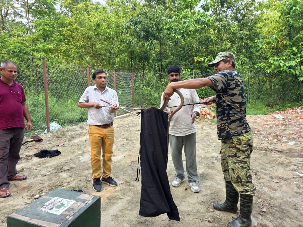 Snake Rescue and Management Training
