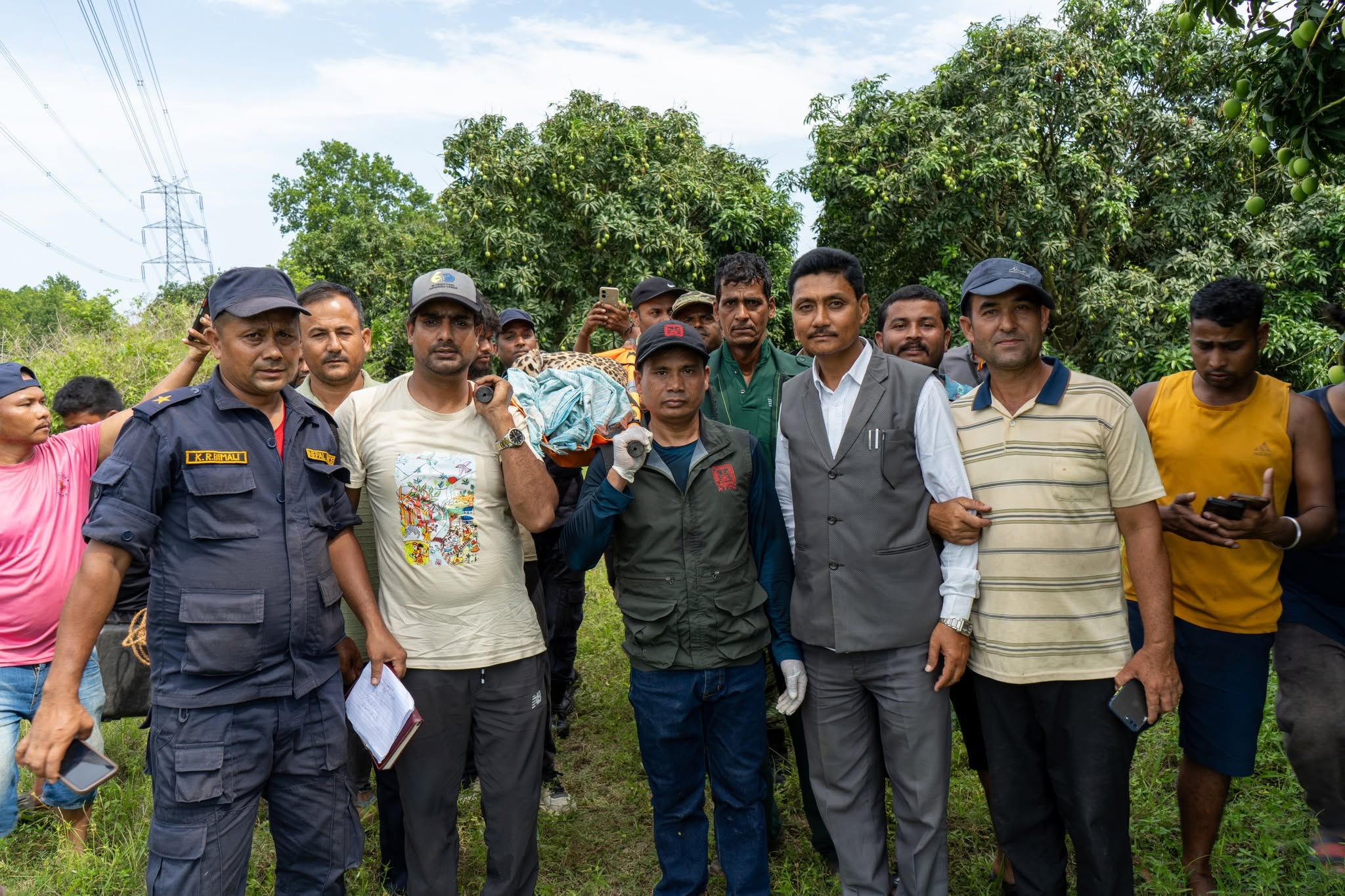 Team of all stakeholders transporting rescued Leopard to rescue vehicle