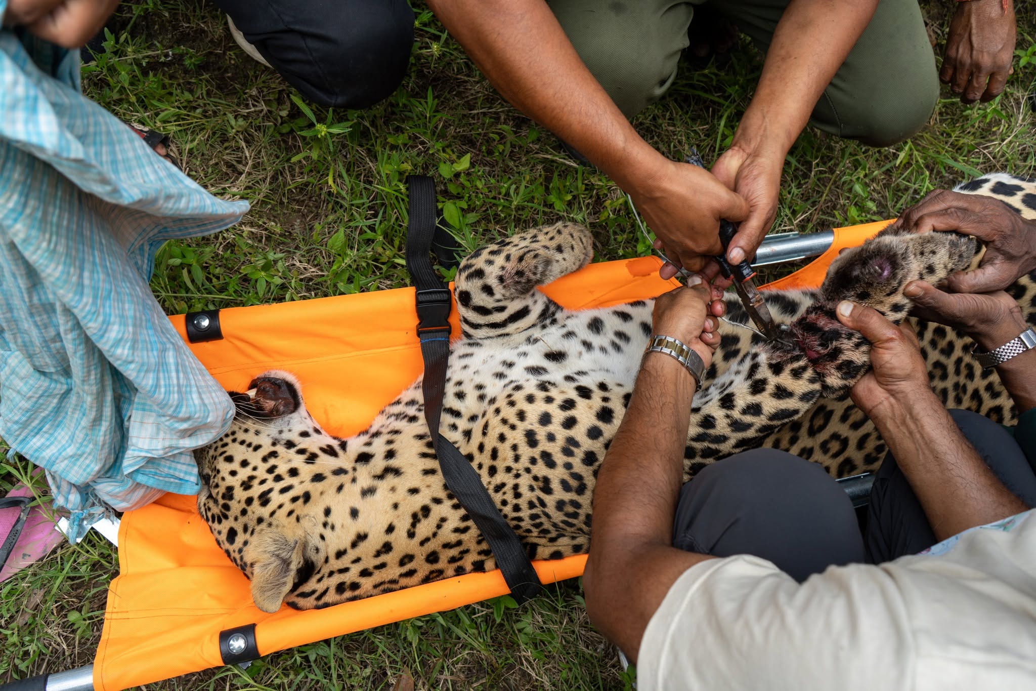 Technical team cutting the iron wire